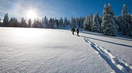 Schneeschuhwandern | © TV Erlebnisregion Graz | Tom Lamm
