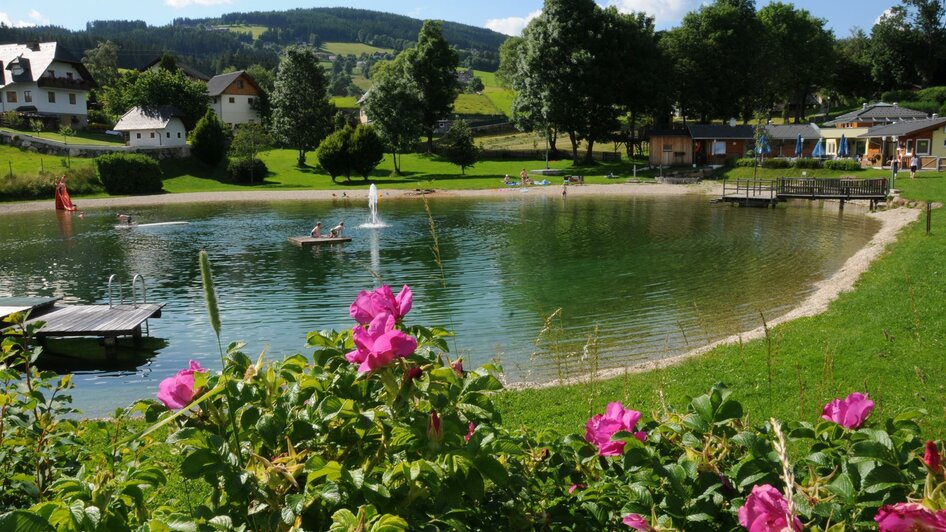 Natural swimming pond Fischbach - Impression #2.2
