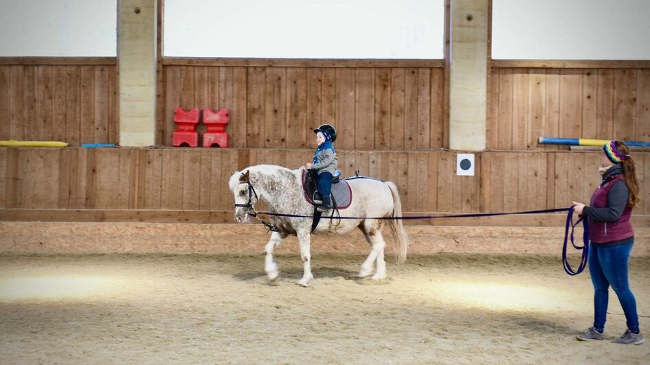 Longeunterricht mit Pony | © Pferdefreunde Zloam