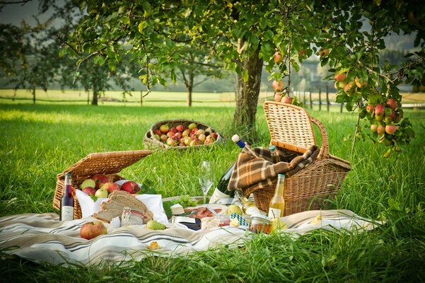 Streuobstpicknick | © (c) fotodesign by Marcus Auer